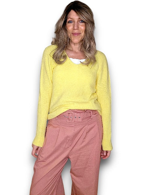 Baby Alpaca/Blend Knit-Lemon V-Neck Long Sleeve