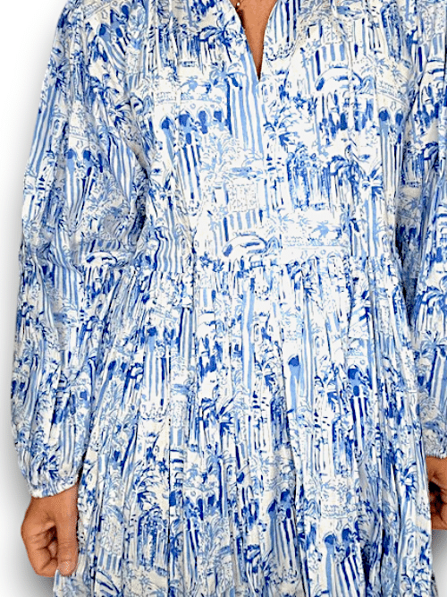 IDA IVY Pouf Sl Dress/Porcelain City image 4
