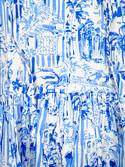 IDA IVY Pouf Sl Dress/Porcelain City image 1