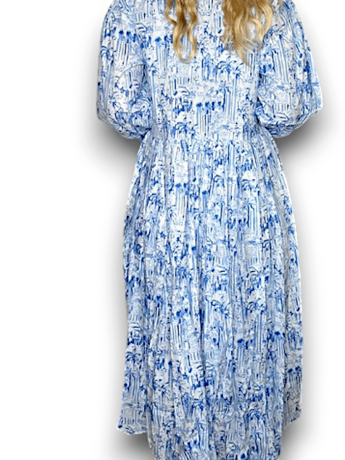IDA IVY Pouf Sl Dress/Porcelain City image 3