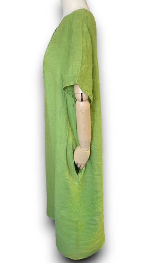 Ivy Green Plain V-Neck Maxi Dress with Buttons